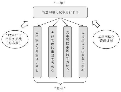 技术治理与城市疫情防控的实践逻辑及理论反思——以上海市X区“一网统管”运行体系为例