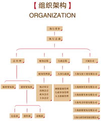 上海专业网站建设 企业建站 行业建站 多语建站 网站设计 网页制作 网站开发 上海小视角网络科技